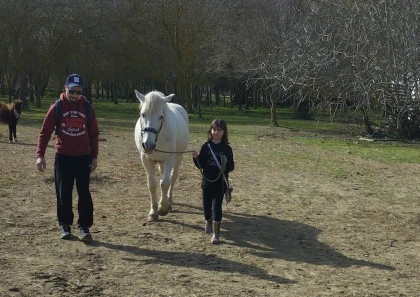 Balade et soins du cheval - Perpignan Expériences