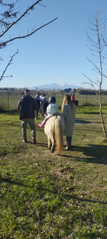 Balade et soins du poney - Perpignan Expériences