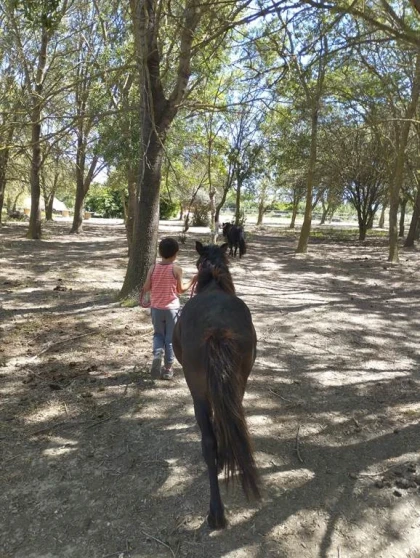 Balade et soins du poney - Perpignan Expériences
