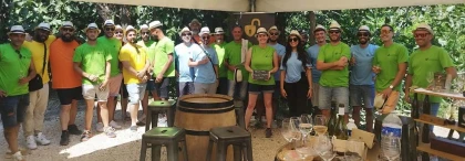 Escape Game dans les vignes- groupe 6 personnes et plus - Perpignan Expériences
