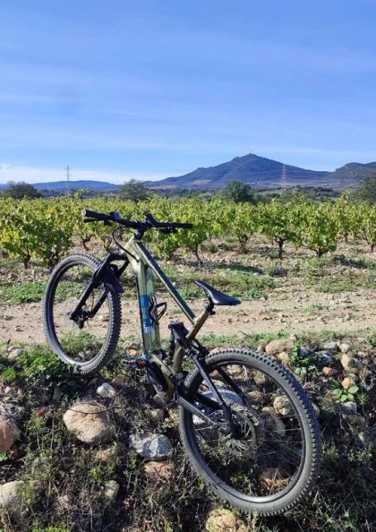 Força Réal découverte VTTAE - Perpignan Expériences