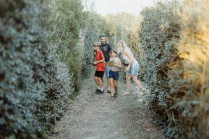 Labyrinthe, jeux géants et karts à pédales - Perpignan Expériences