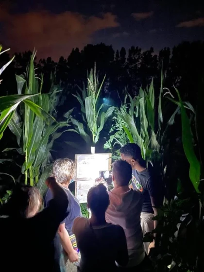 Labyrinthe géant - Nocturne en famille de 21h à minuit - Perpignan Expériences