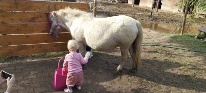 Motricité à poney (2-6 ans) - Perpignan Expériences