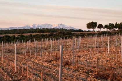 Rivesaltes, Les Secrets de son terroir - Perpignan Expériences