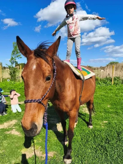 Stage découverte du poney - Perpignan Expériences