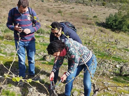Vigneron d'un jour - Perpignan Expériences