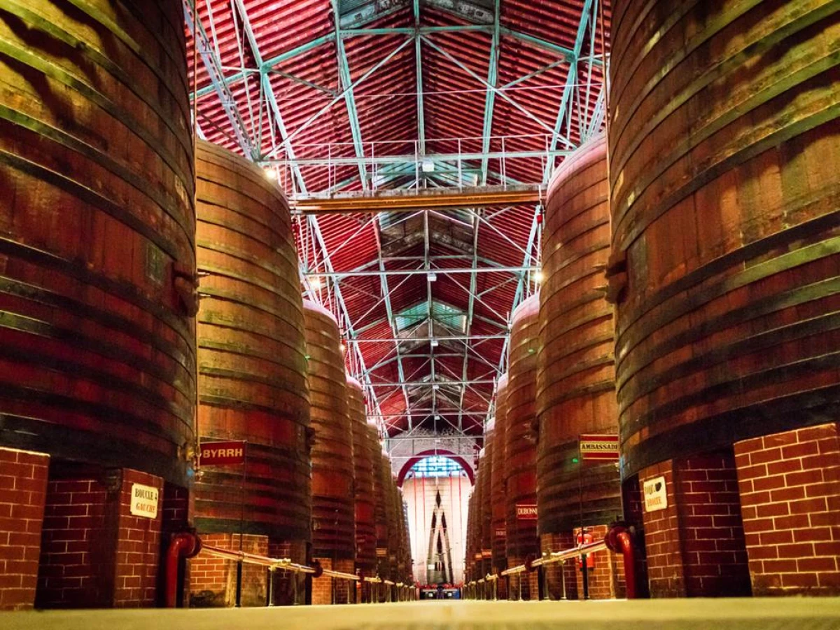 Excursion dans les Aspres et visite des Caves Byrrh - Perpignan Expériences