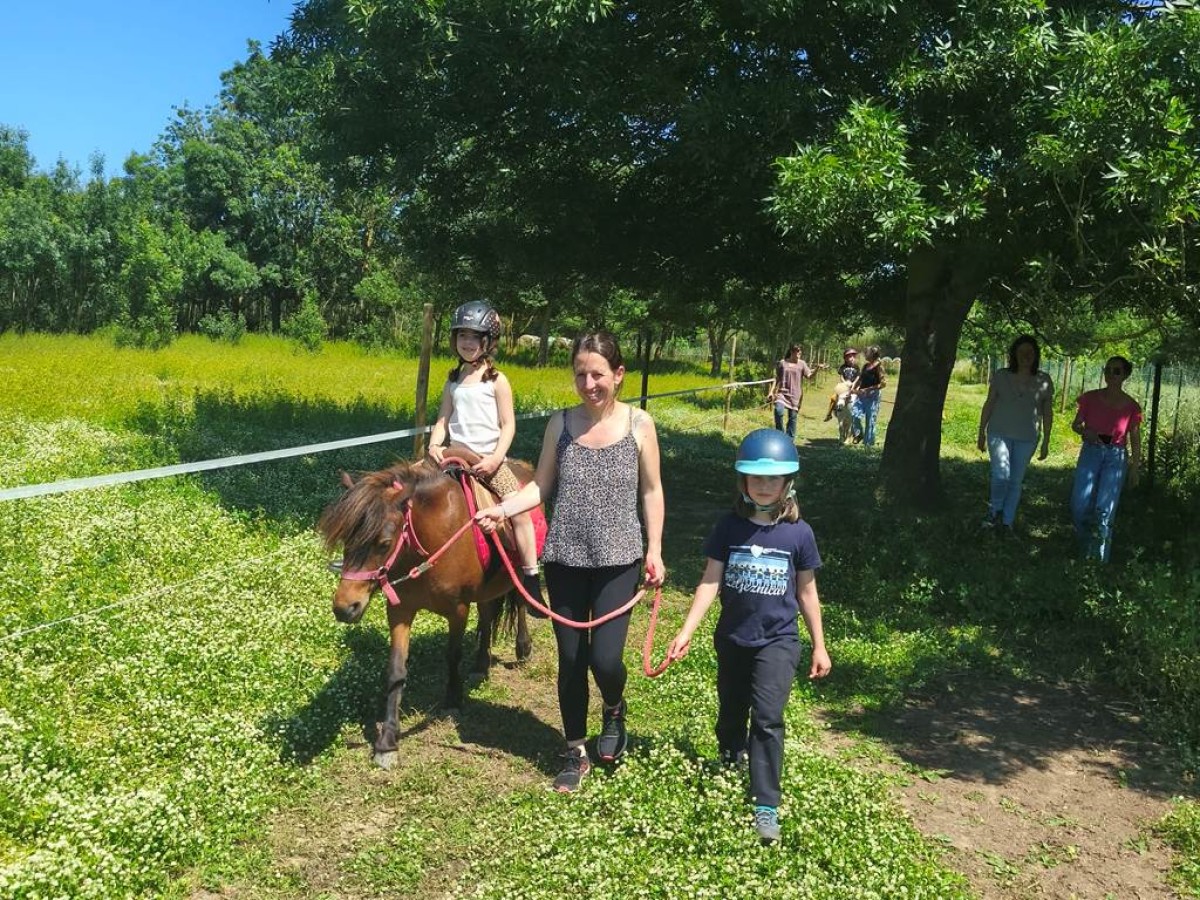 Anniversaire - Perpignan Expériences