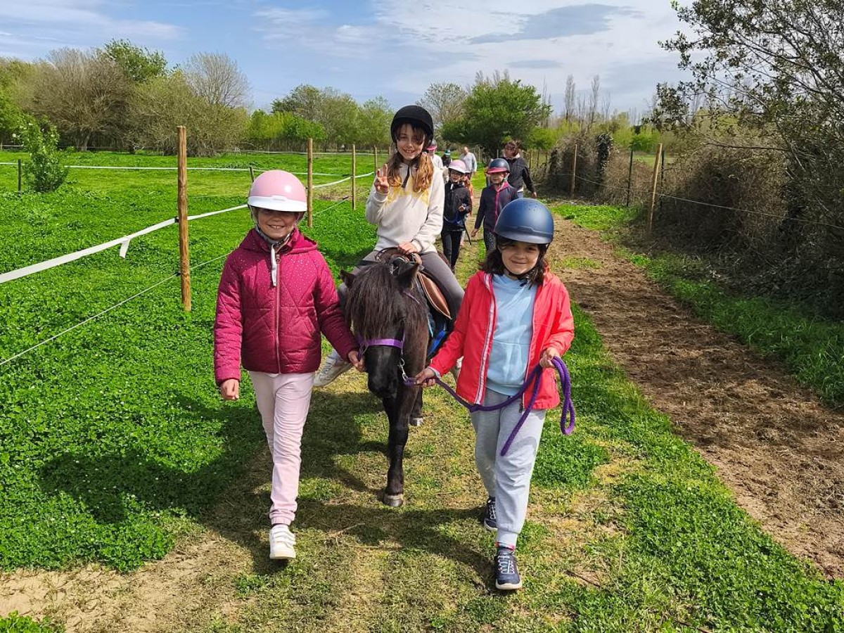 Anniversaire - Perpignan Expériences