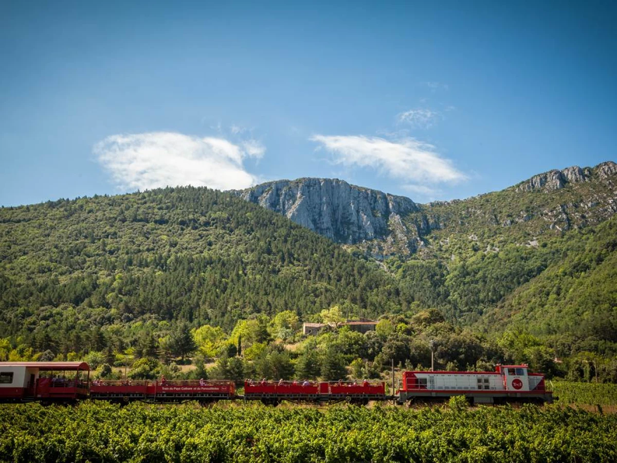 Le Train Rouge - Au départ de Rivesaltes vers Axat et les Gorges de l'Aude - Perpignan Expériences