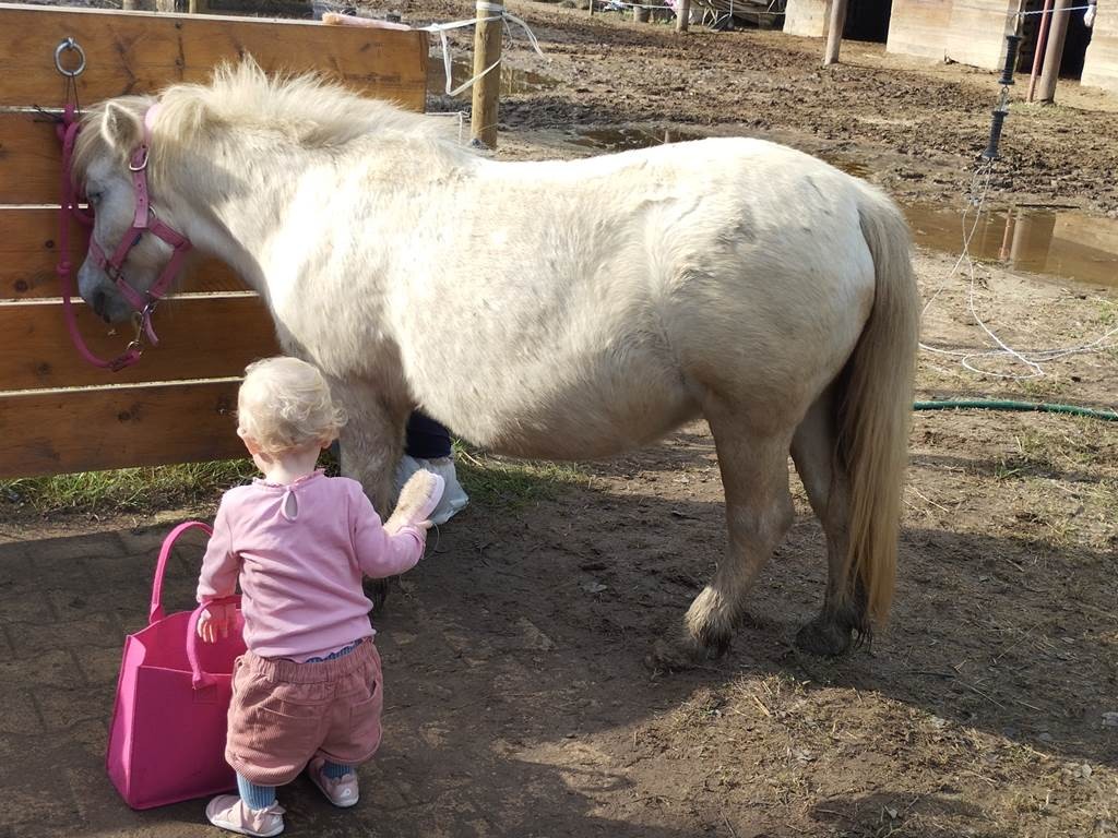 Baby poney (2 – 5 ans) - Perpignan Expériences