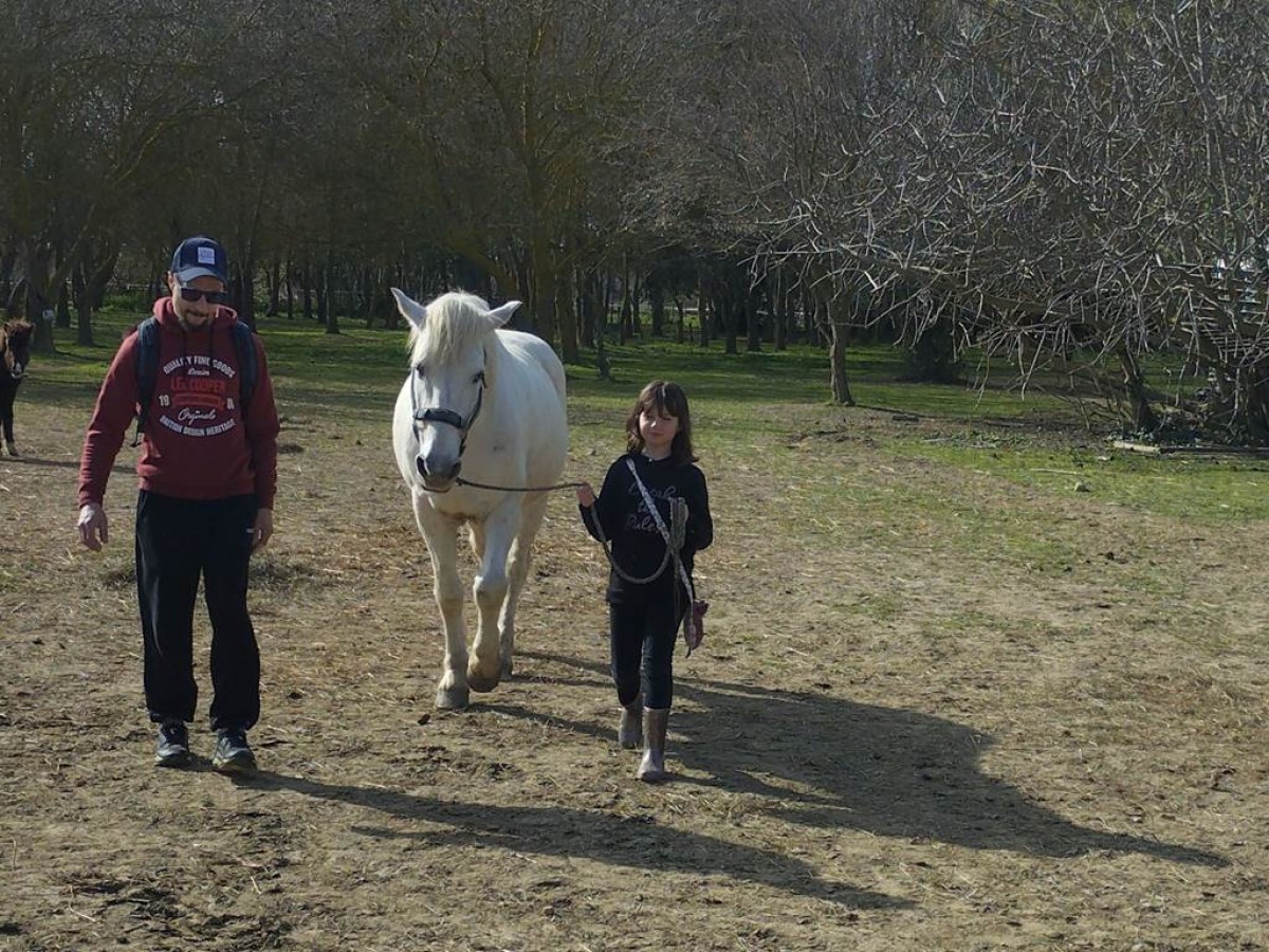 Balade et soins du cheval - Perpignan Expériences