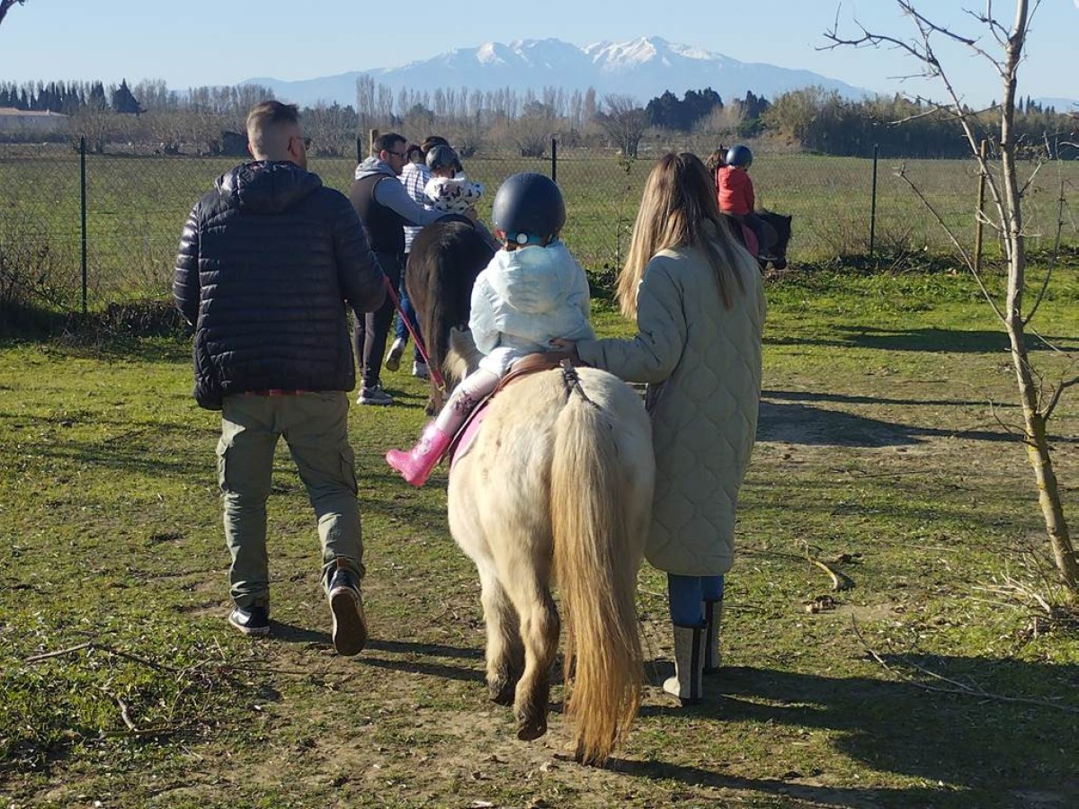 Balade et soins du poney - Perpignan Expériences