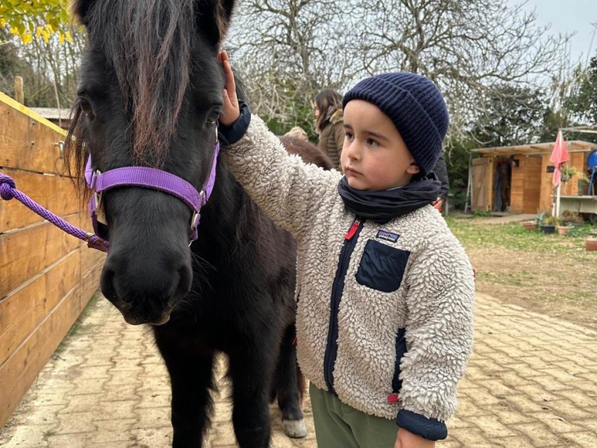 Balade et soins du poney - Perpignan Expériences