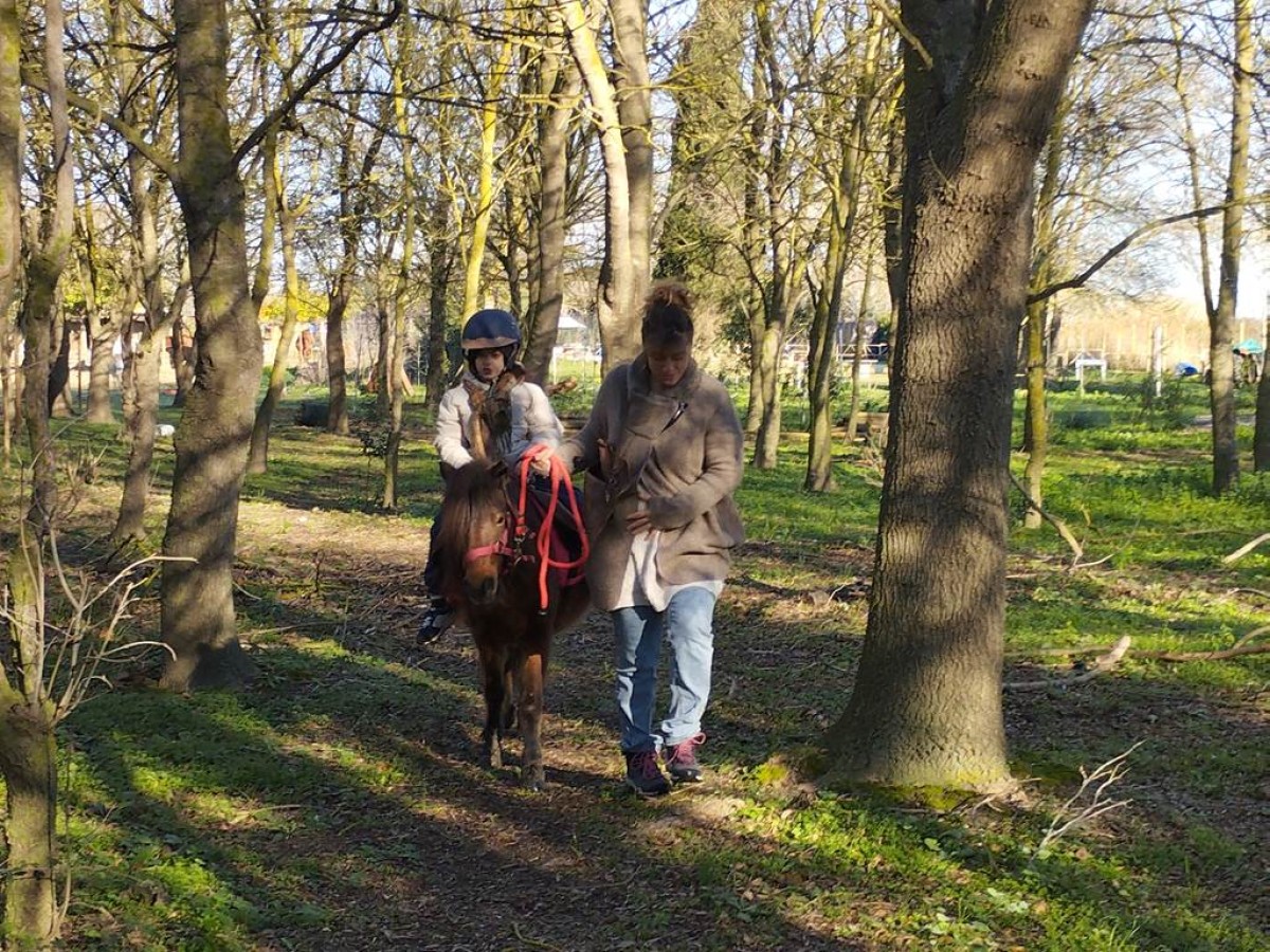 Balade et soins du poney - Perpignan Expériences