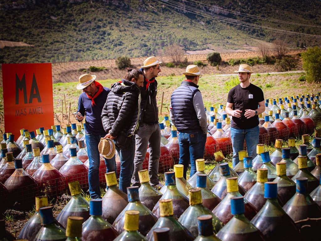 Catalan Wine Escape - Perpignan Expériences