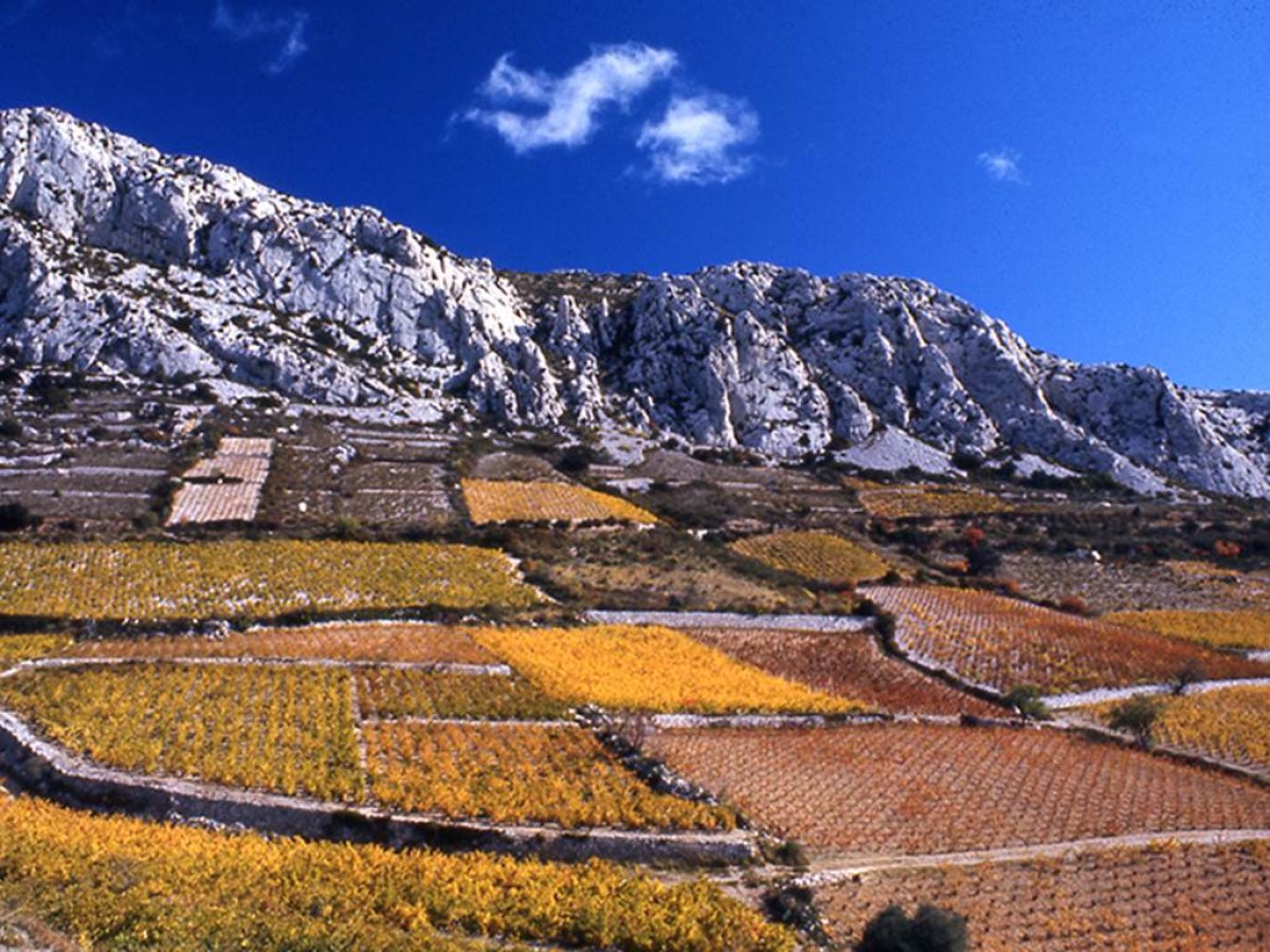 Circuit Culturel en 2 CV : Equipée - Perpignan Expériences