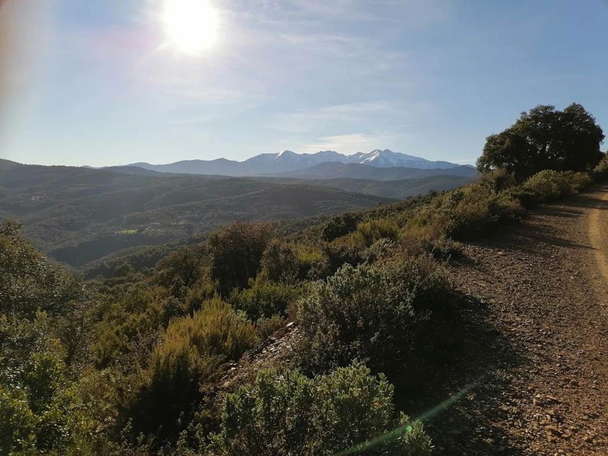 Circuit en VTTAE - Découverte de Corbère - Perpignan Expériences