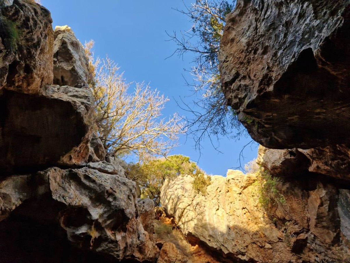Des Corbières à la plaine du Roussillon Privatisé - Perpignan Expériences