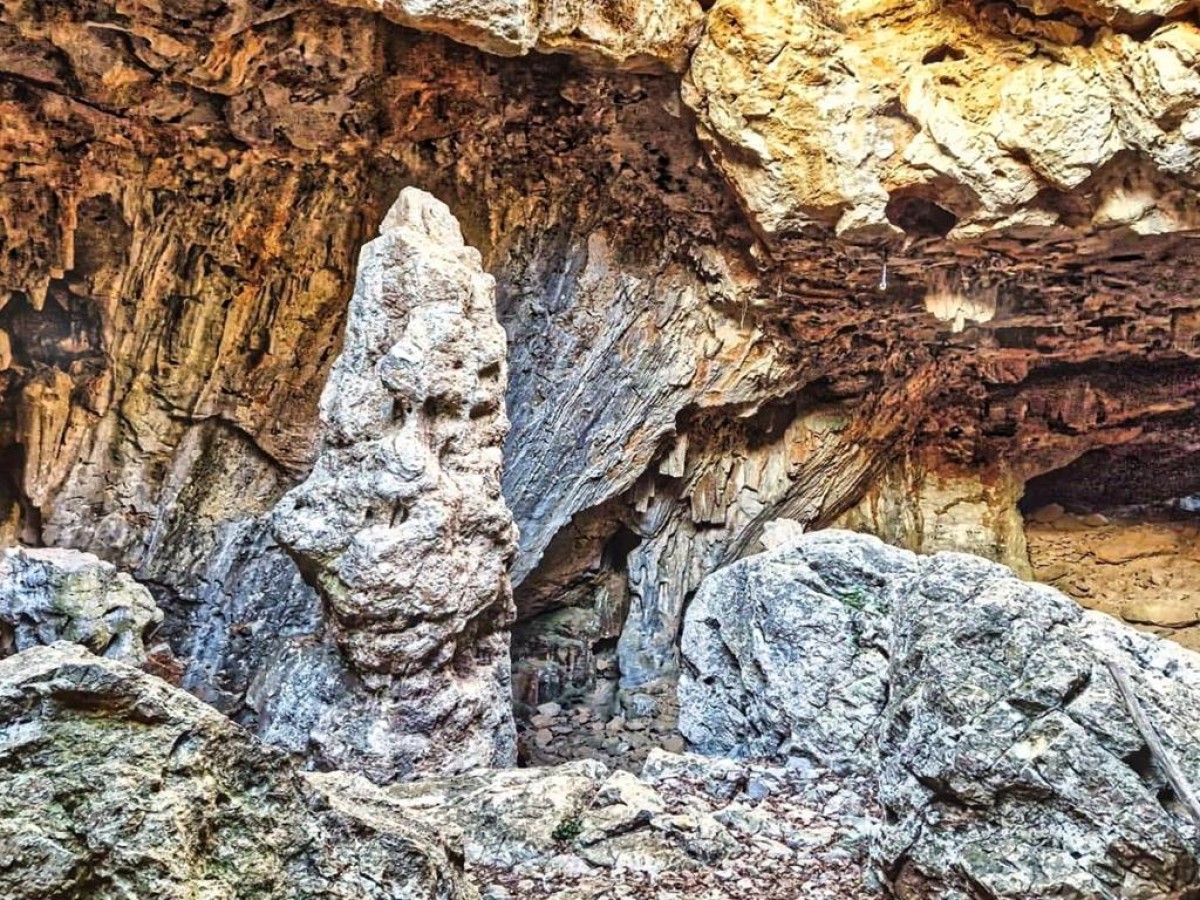 Des Corbières à la plaine du Roussillon Privatisé - Perpignan Expériences