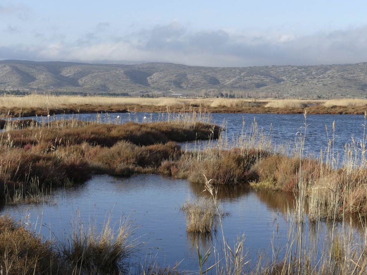 Des Corbières à la plaine du Roussillon Public - Perpignan Expériences