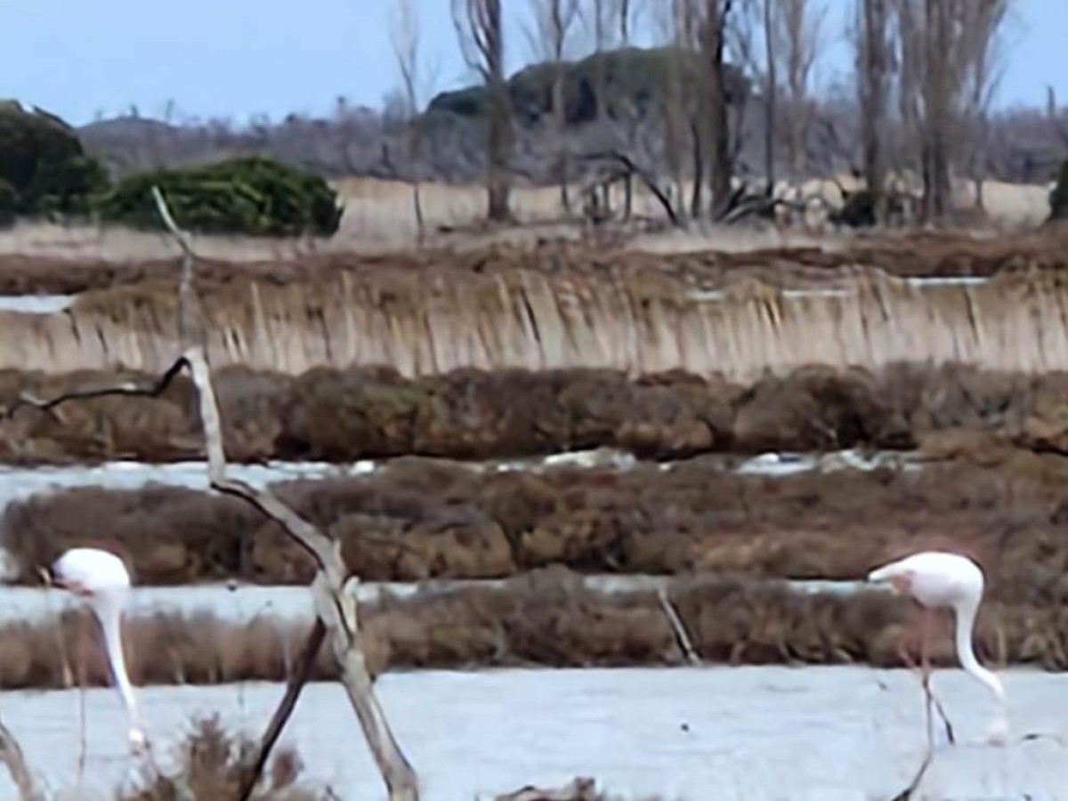 Des Corbières à la plaine du Roussillon Public - Perpignan Expériences