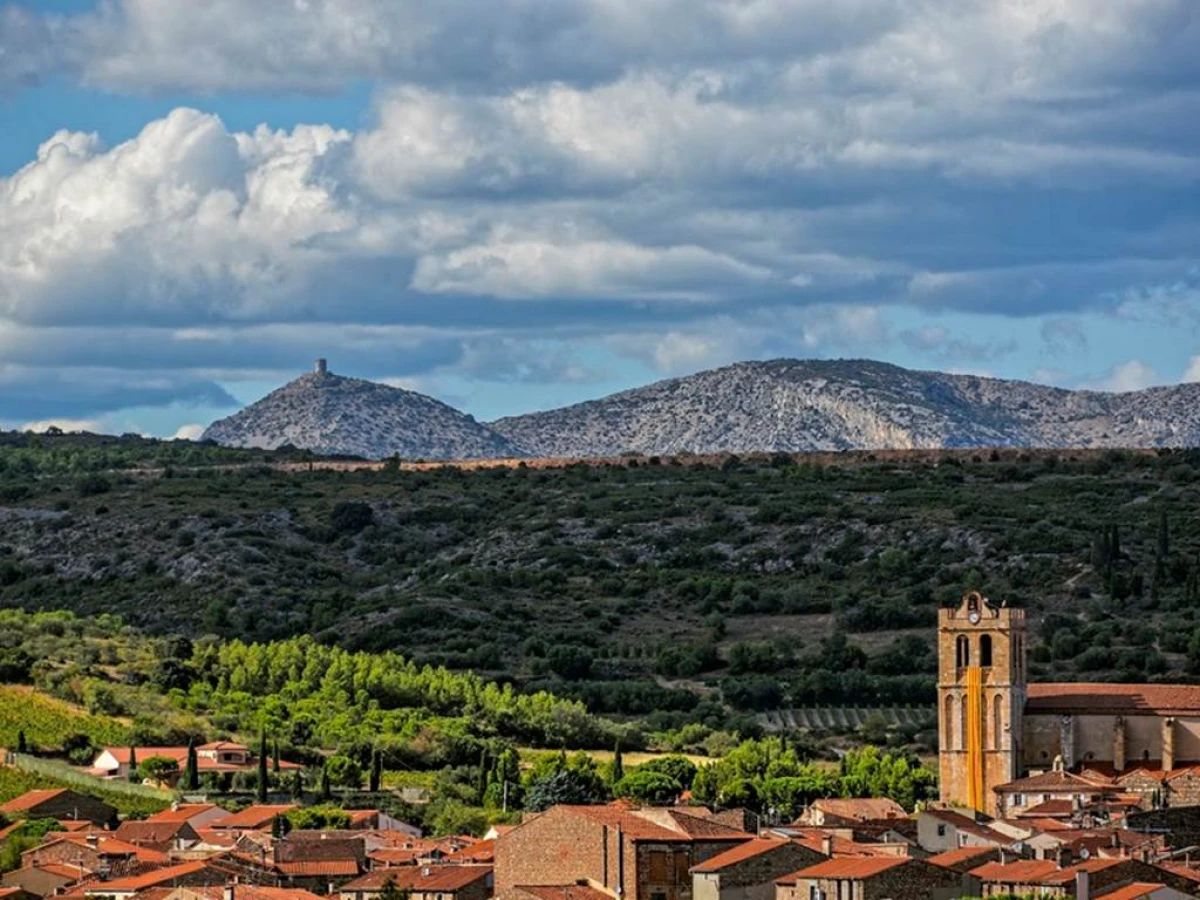 Excursion viticole - Entre Vignes et Olives du Roussillon - Perpignan Expériences