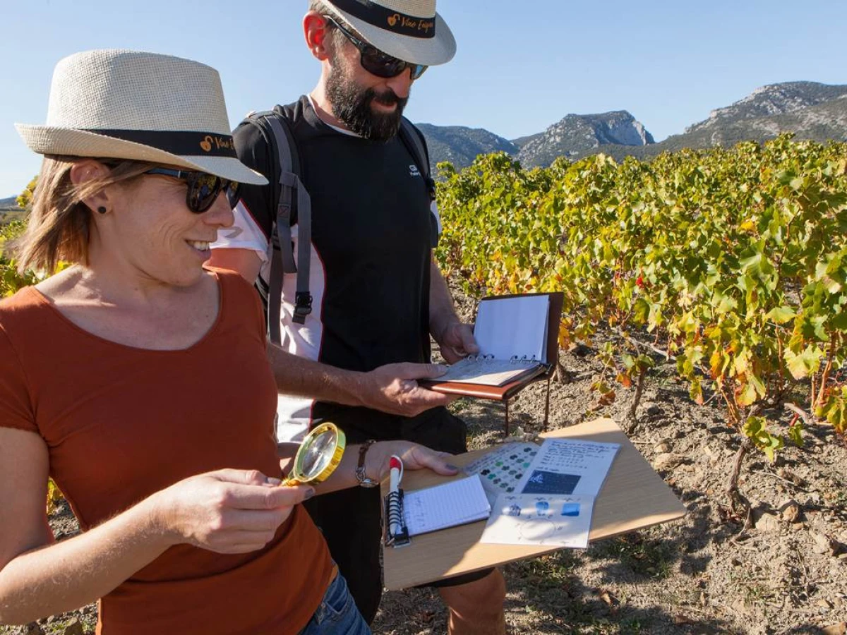Escape Game dans les vignes - de 1 à 5 personnes - Perpignan Expériences