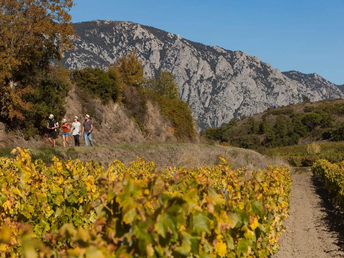 Escape Game dans les vignes - de 1 à 5 personnes - Perpignan Expériences