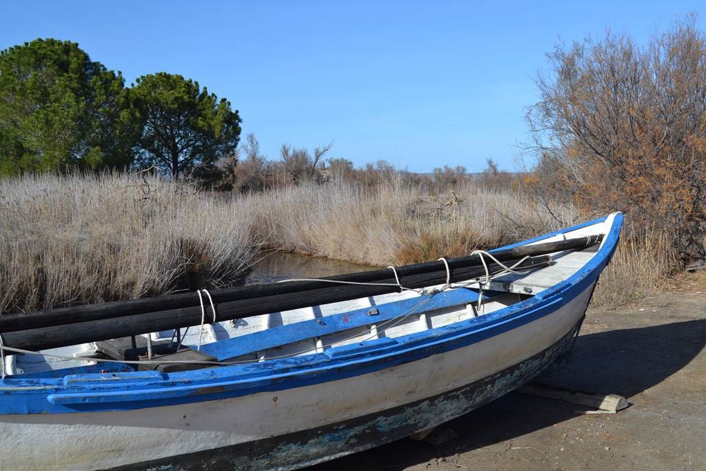 Event Trip - Perpignan Expériences