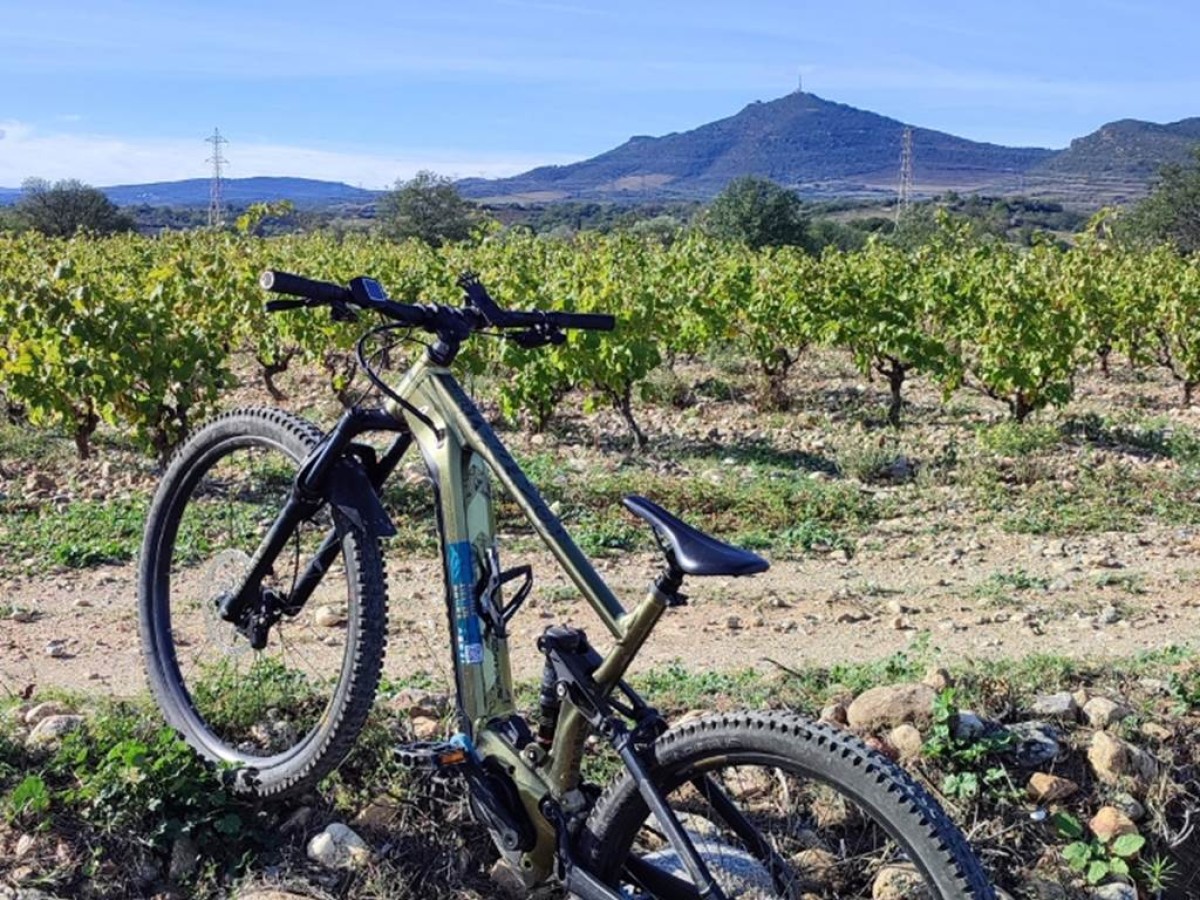 Força Réal découverte VTTAE - Perpignan Expériences