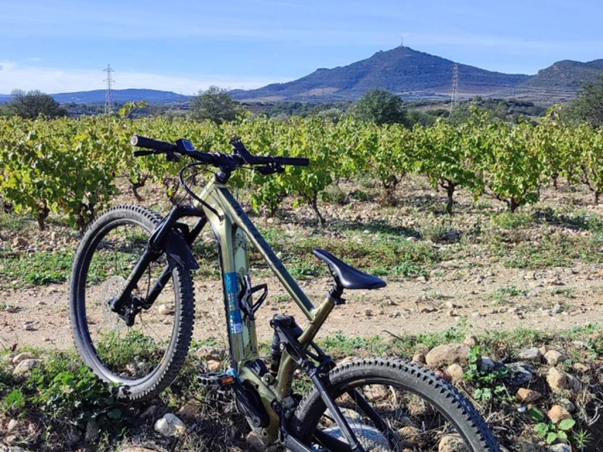 Circuit en VTTAE à Força Réal - Perpignan Expériences