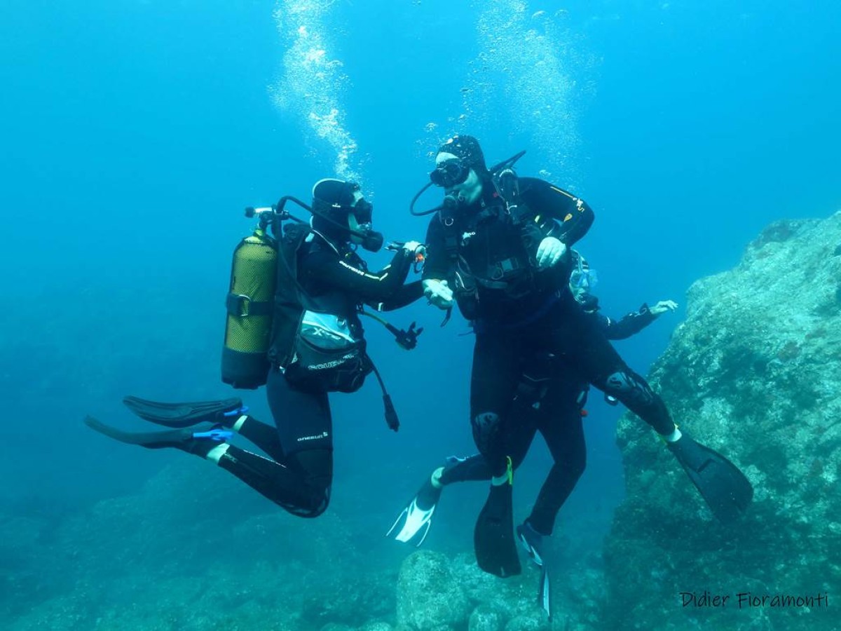 Formation N1 - Perpignan Expériences