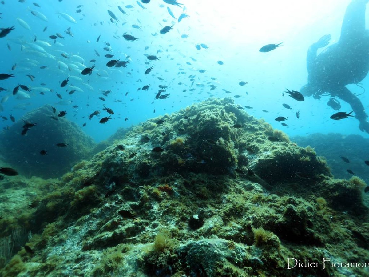 Formation PE12 - Perpignan Expériences