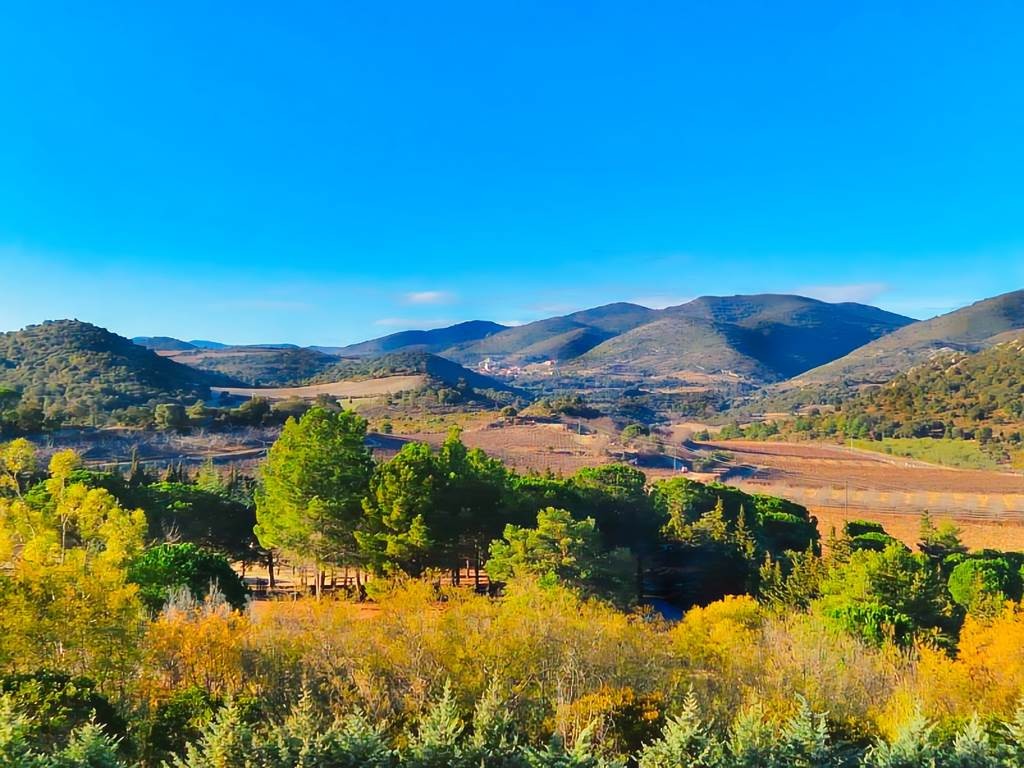 L'authentique pays catalan Privatisé - Perpignan Expériences