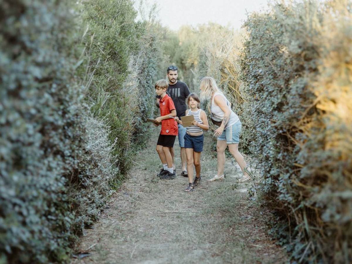 Labyrinthe, jeux géants et karts à pédales - Perpignan Expériences
