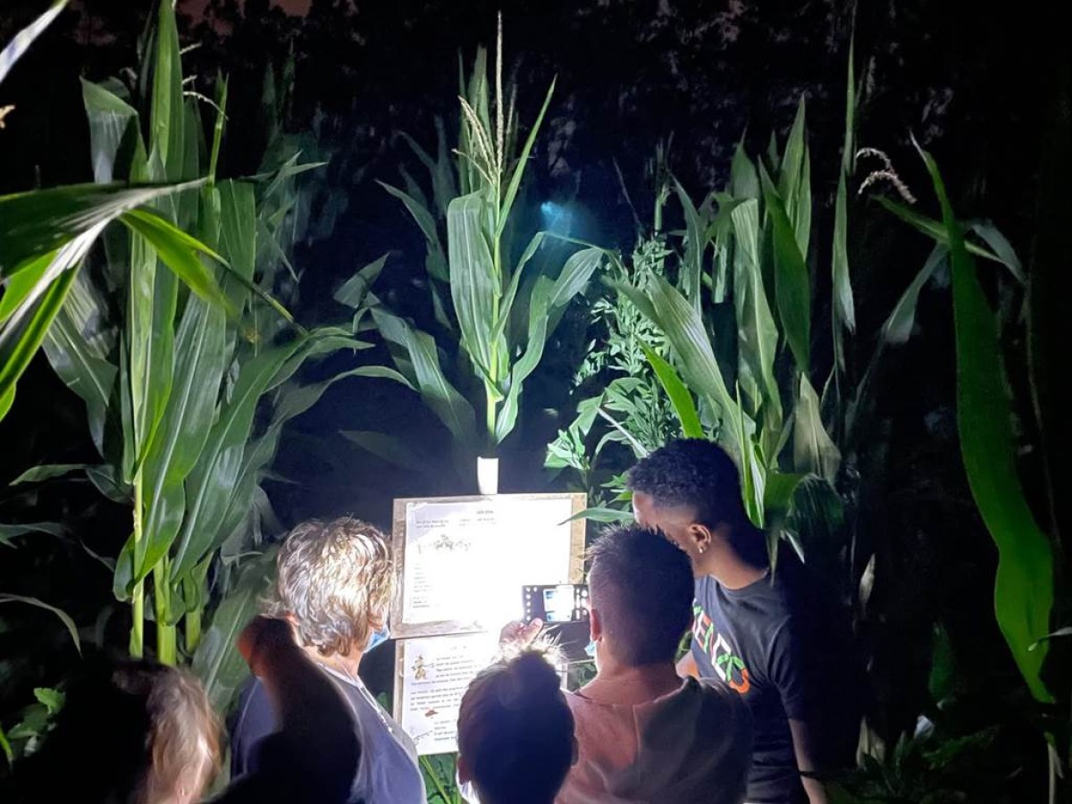 Les nocturnes en famille le Mardi à partir de 21h - minuit (dernière entrée 22h30) - Perpignan Expériences