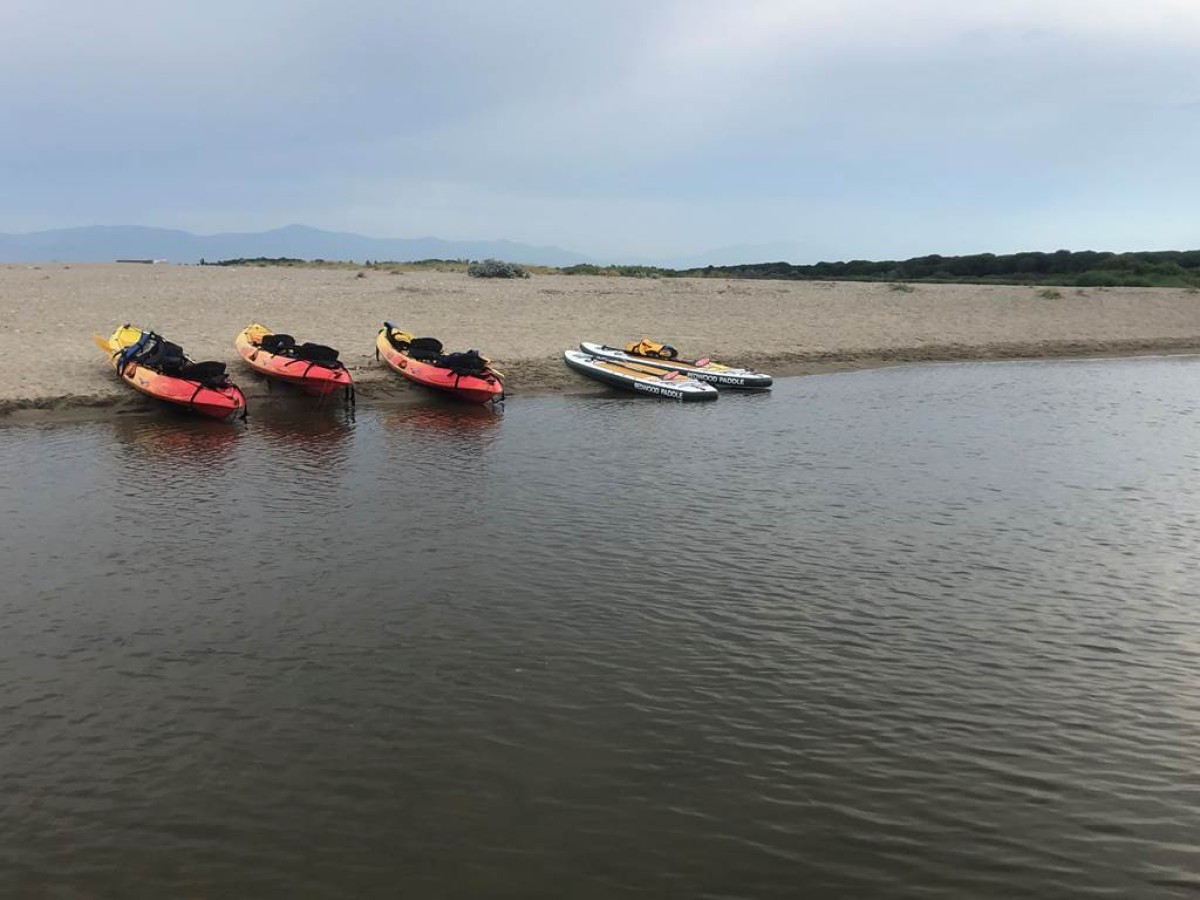 Paddle - Escale à la mer - Perpignan Expériences