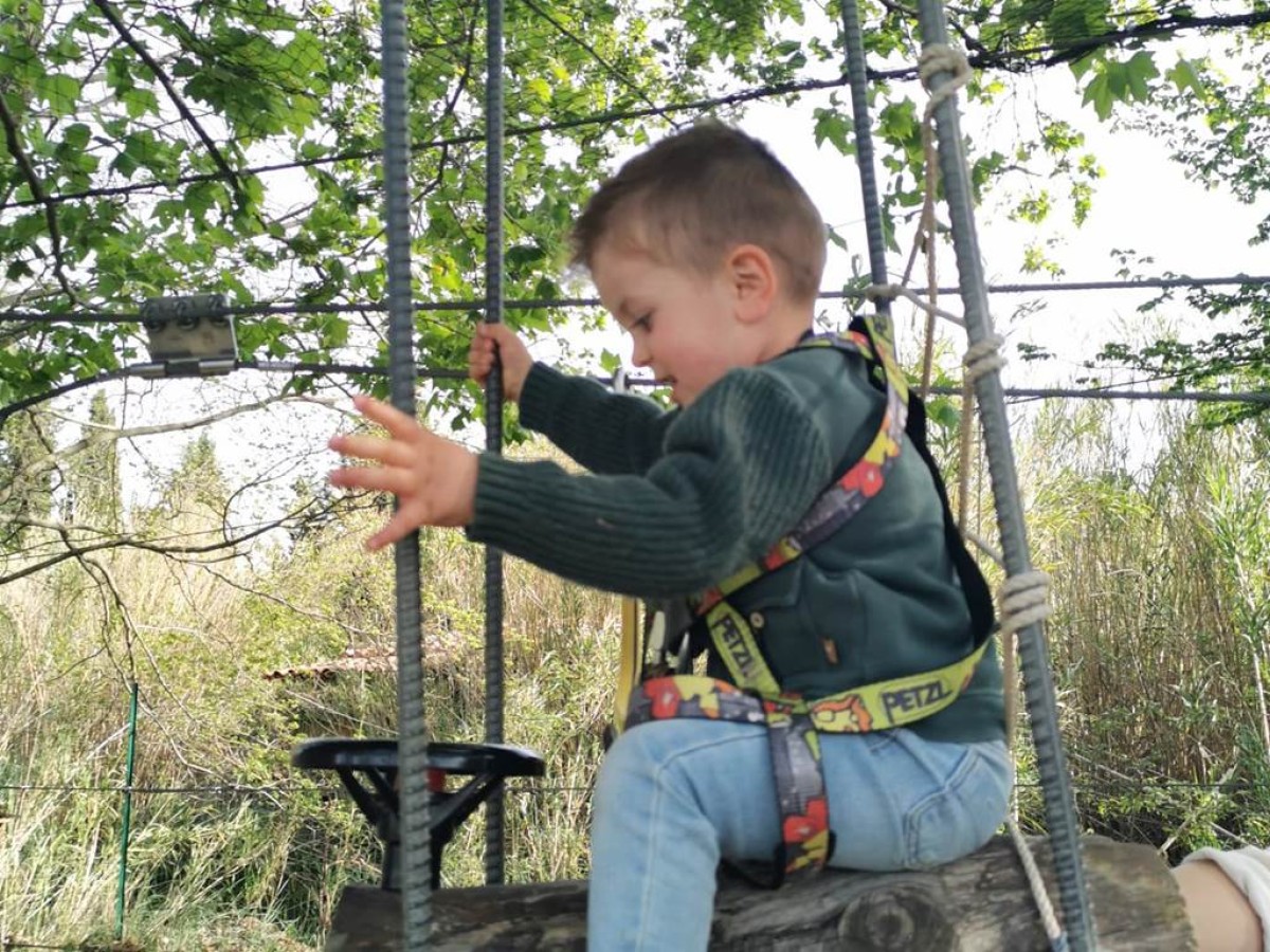 Parcours Accrobranche - P'tite Pousse - Perpignan Expériences