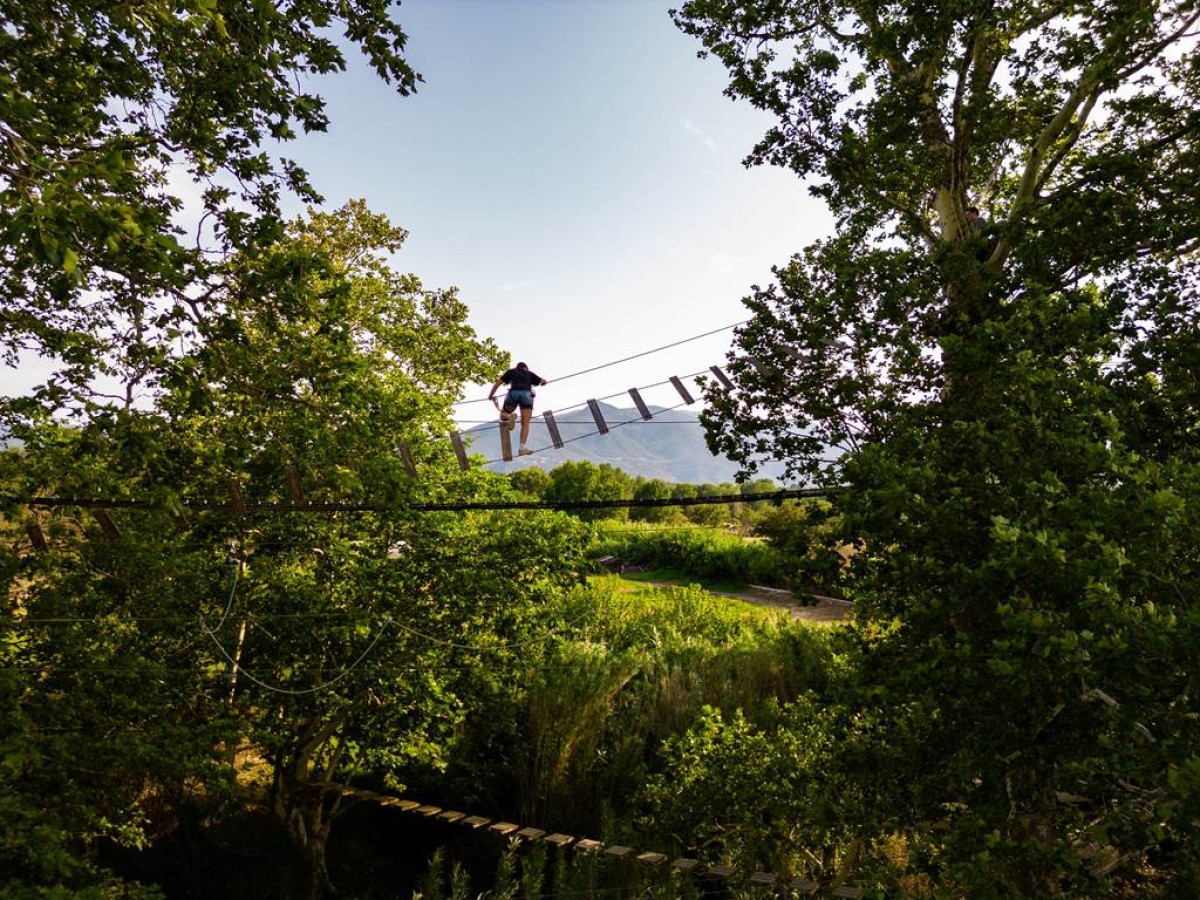 Parcours Accrobranche - T'FORT - Perpignan Expériences