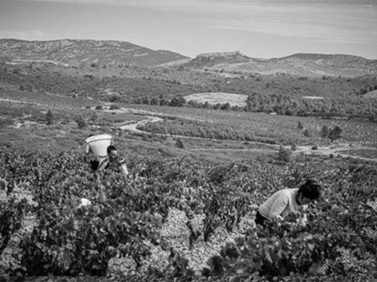 Rivesaltes, Les Secrets de son terroir - Perpignan Expériences