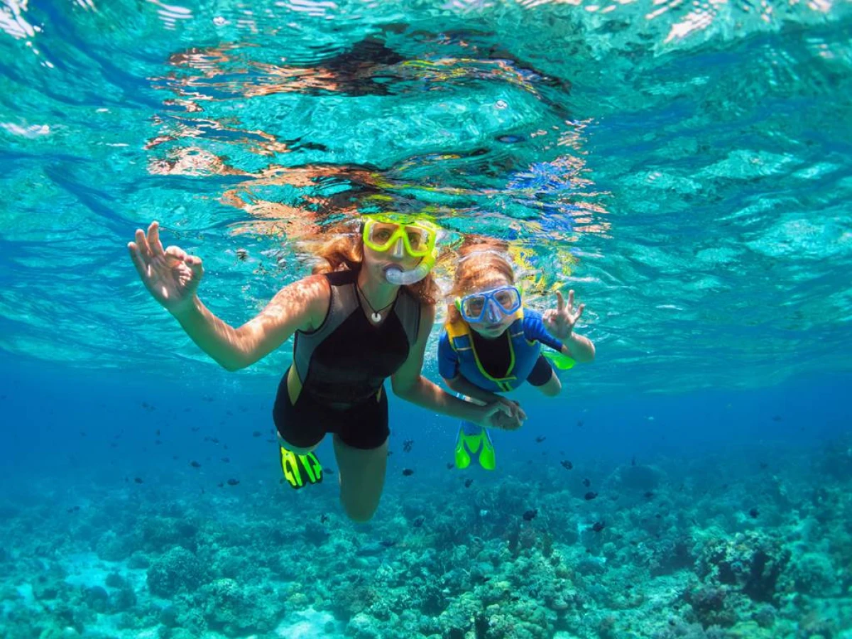 SNORKELING COLLIOURE - Perpignan Expériences