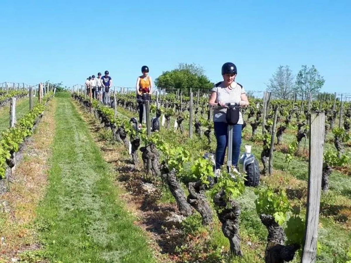Sortie Oenologie à travers les vignes en gyropode - Perpignan Expériences