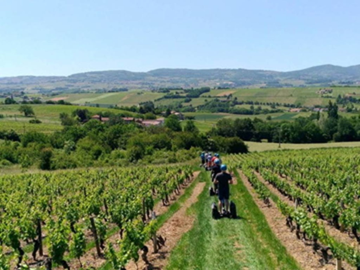 Sortie Oenologie à travers les vignes en gyropode - Perpignan Expériences