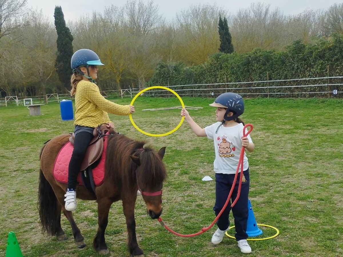 Stage découverte du poney - Perpignan Expériences