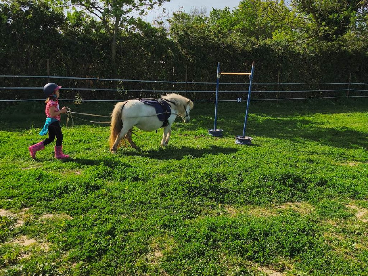 Stage découverte du poney - Perpignan Expériences