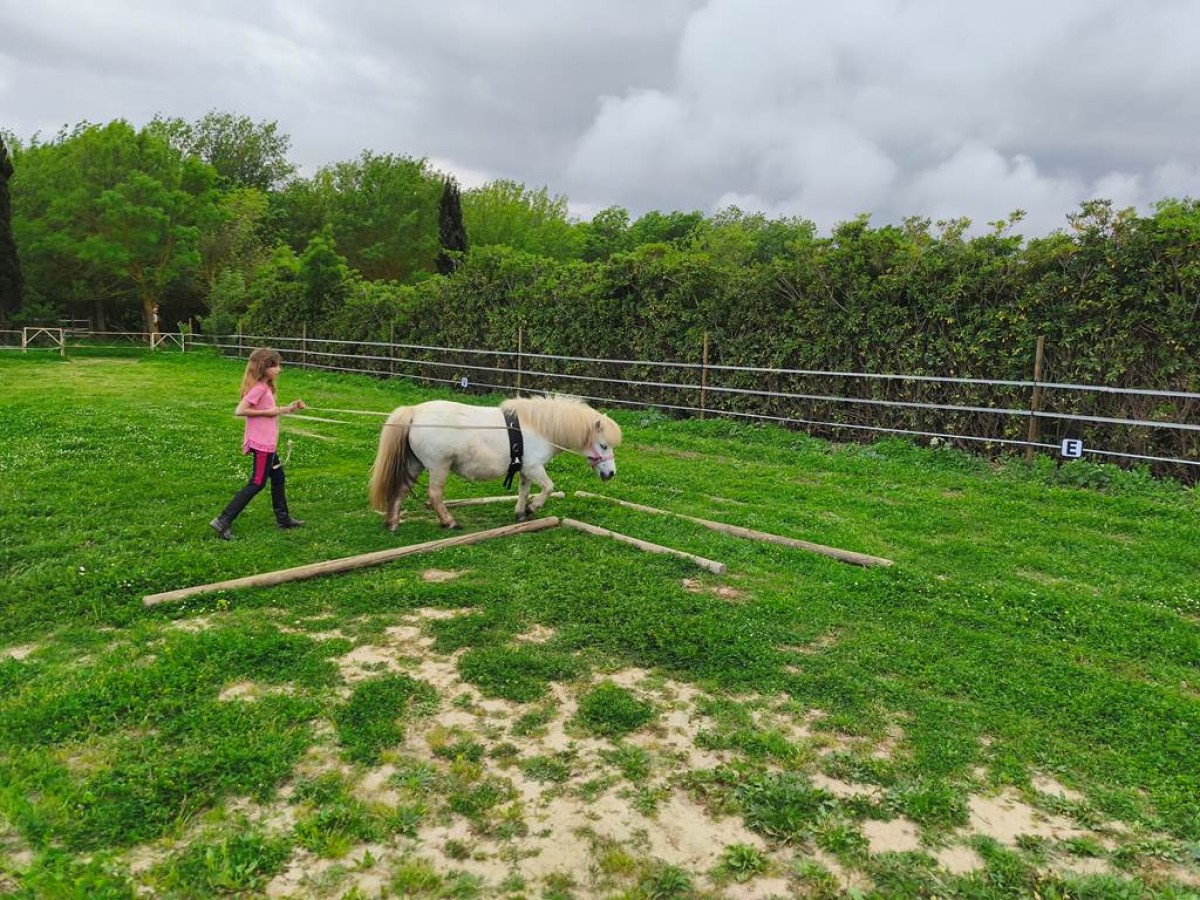 Stage découverte du poney - Perpignan Expériences