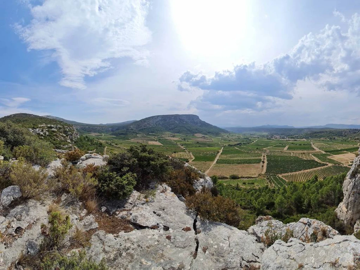 Excursion viticole - Terroirs cachés de l'arrière pays - Perpignan Expériences
