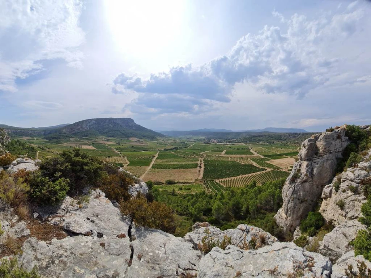 Excursion viticole - Terroirs cachés de l'arrière pays - Perpignan Expériences